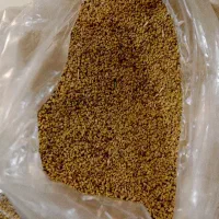 بزر یونجه اصل همدان درچه یک بوجاری شده