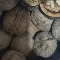 گردومحلی خوشمزه