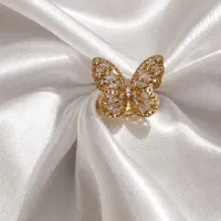 بدلیجات و اکسسوری