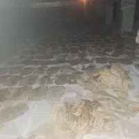 نان خشک|خوردنی و آشامیدنی|زاوه, |دیوار