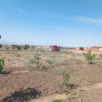 زمین باغی با سند ششدانگ