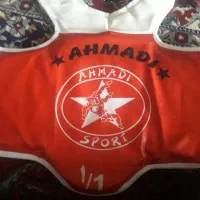 هوگو