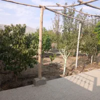 فروش-باغ