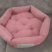 جا خواب گربه