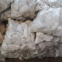 سنگ قلوه|گل و گیاه طبیعی|رشت, امین الضرب|دیوار