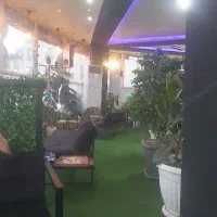 کار در کافه رستوران