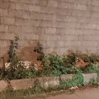 زمین ۵۰۰ متری منطقه پاسداران