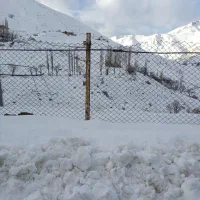 برنج صدری ممتاز با پخت و طعمی معقول