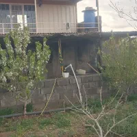 باغ هفت ساله پسته بار دهی در شهر مرگنلر