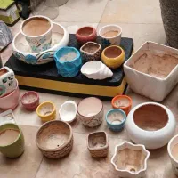 گلدان|گل و گیاه طبیعی|تهران, جنتآباد شمالی|دیوار