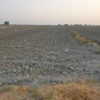 فروش-3000متر-زمین-کشاورزی-کمربندی