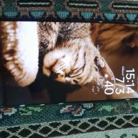 Poco x7 pro|موبایل|اهواز, پردیس|دیوار
