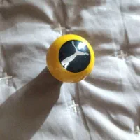 سردنده پوما اسپرت