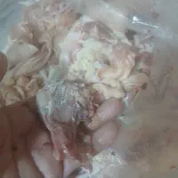 اشغال مرغ