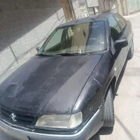 زانتیا ۸۴