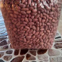 بادام زمینی