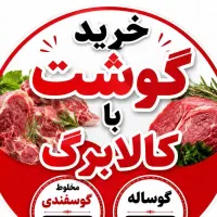 فروشنده خانم