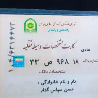 پیدا شده