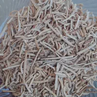 هرشته تازه
