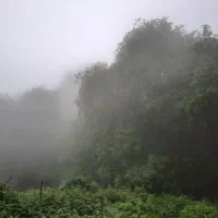 اجاره ویلا جنگلی  فیلبند چلاو دریا ابر