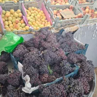 نیاز همکار خانم جهت کار در میوه فروشی