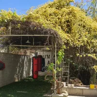 آموزش بوکس بانوان و کودکان