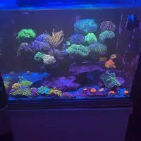 حراج آکواریوم نو با تمام وسایل