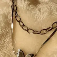 گردنبند دولاین پروانه