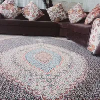 مبل|مبلمان خانگی و میز عسلی|عنبرآباد, |دیوار