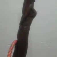 چوب سرخ اصل