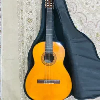 گیتار C70|گیتار، بیس، امپلیفایر|شیراز, زرهی|دیوار