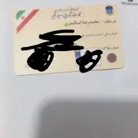 مدارک گم شده