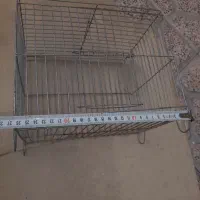 قفس پرنده
