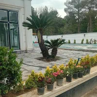 طراحی واجرای فضای سبز  باغبانی