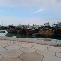 همخونه همخونه