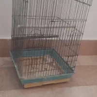 قفس