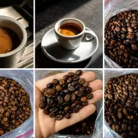 پخش و فروش قهوه عمده