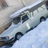 وانت دوگانه کارخانه