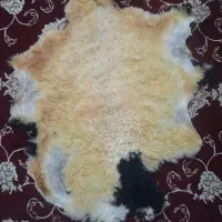 پوست گوسفند