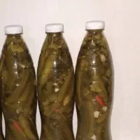 خیارشورتردتازه خوش مزه