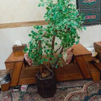 درختچه مصنوعی نو با گلدان هخامنشی بزرگ