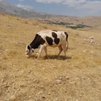 الیگودرز، به طرف آبشار آب سفید ،روستای دره ماهی