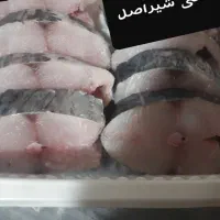 انواع فیله ماهی