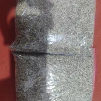 اویشن کوهی