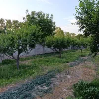 زمین-مسکونی200متر-چهار-باغ