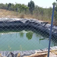 باغ