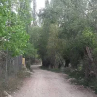 باغی به مساحت ۲۱۵۰ هزارمتر