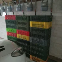 سبد