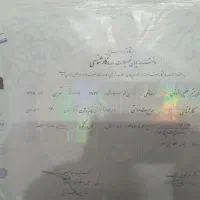 دانشجویان دانش آموختگان آسان ترین رتبه بالا و رشته