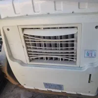 درحت نو کم کارد